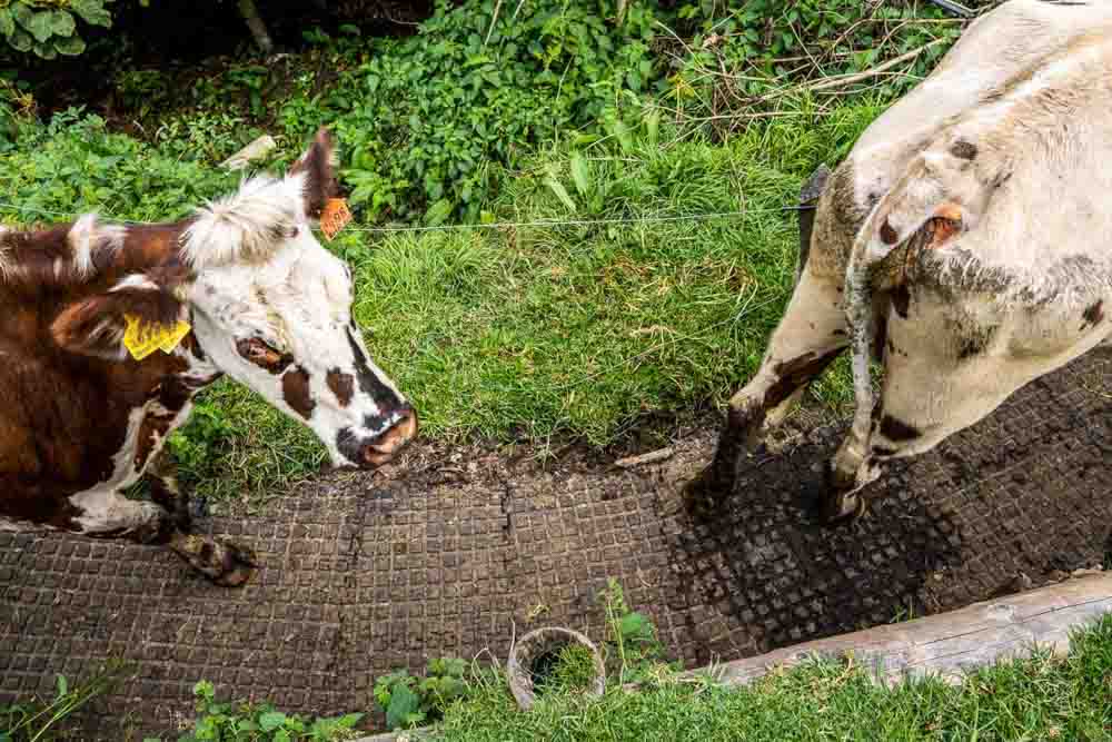 Pisos para Agricultura